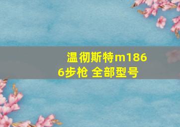 温彻斯特m1866步枪 全部型号